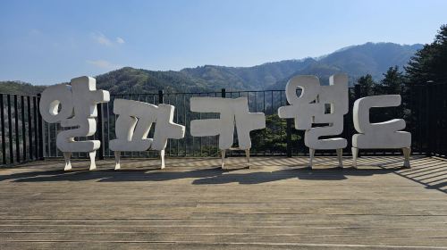 南怡島とアルパカワールド照片7