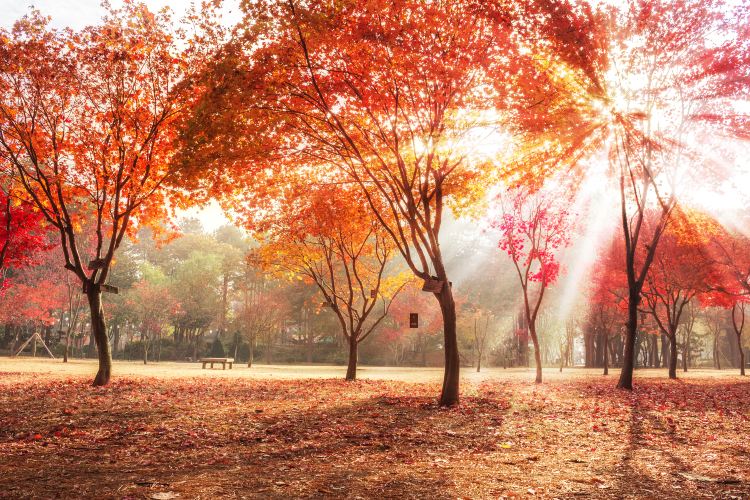 江原道自由行程