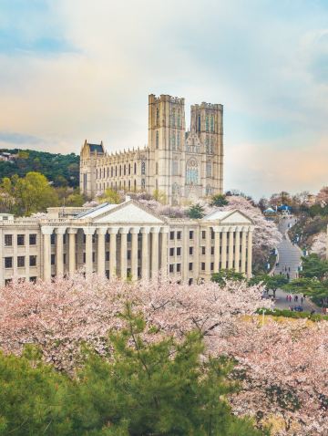 Explore Seoul · Package D照片16