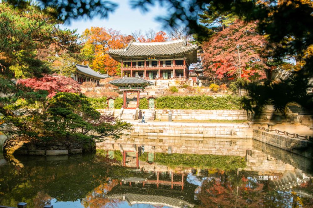 Explore Seoul · Package D照片17